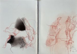 "Ceps, sans, 2" - "Vine stock, without, 2"