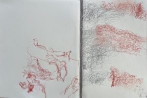 "Ceps, sans, 3" - "Vine stock, without, 3"