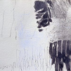 " Au Ferrert, ombres grises "